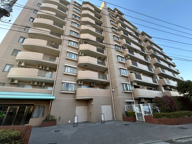 外観：311002385575