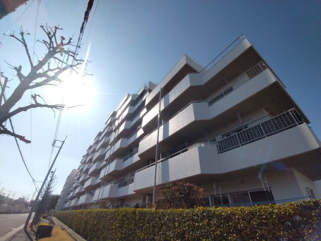 外観：311002385786