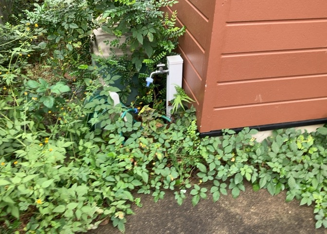 敷地内に散水栓や立水栓があると便利です。水道水を直接利用できるため、水を運ぶ手間を省くことが出来ます。大量の水を必要とする洗車作業や清掃などに役立ちます。その他設備とあわせて、現地でご確認ください。