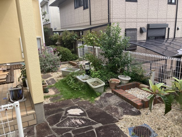 庭