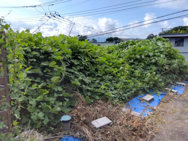 スーパー・ドラッグストア・コンビニまで車で10分圏内です。生活利便性の高い土地になっています。