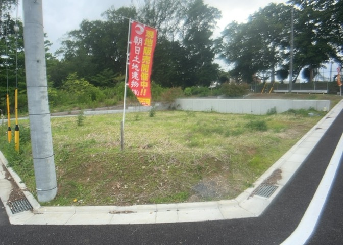 外観：313004736224