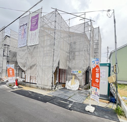 2026年7月30日撮影