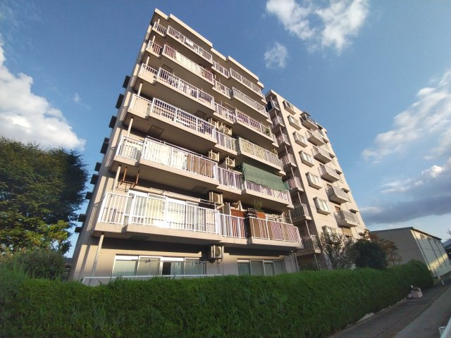 外観：311002305165