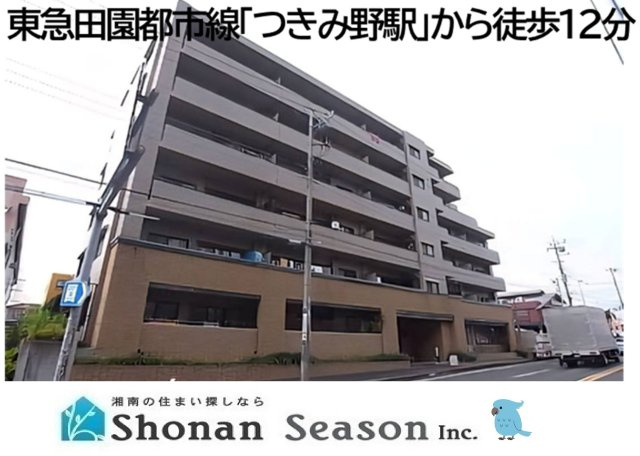 外観：314002691136