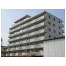 外観：311002338393