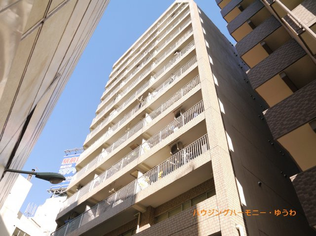 外観：313004648609