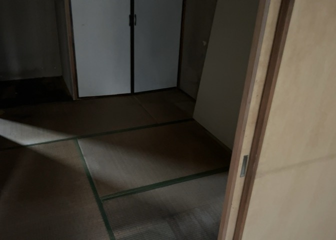 洋室のメリットは重い家具が置きやすく、身の回りが整理しやすいことです。　床がフローリングのため畳とは異なり凹みにくいです。　クローゼットなど収納が豊富で、普段使わない旅行カバンや服の整頓も簡単にです。