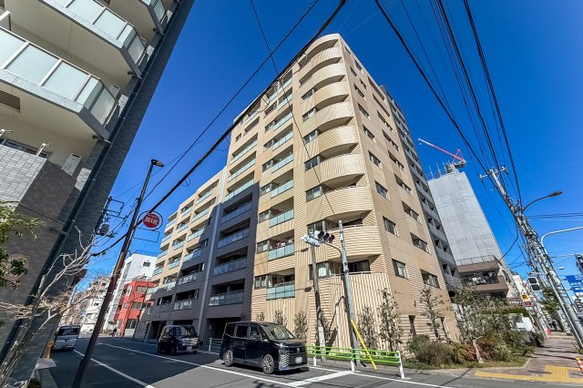 外観：313004674317