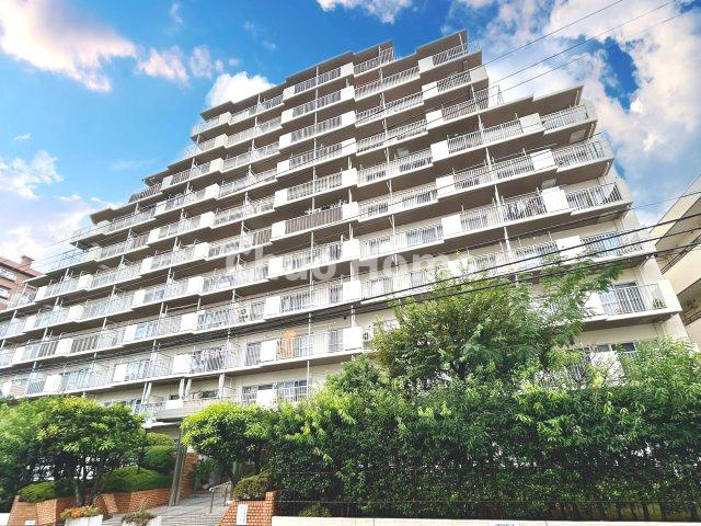 外観：313004686651