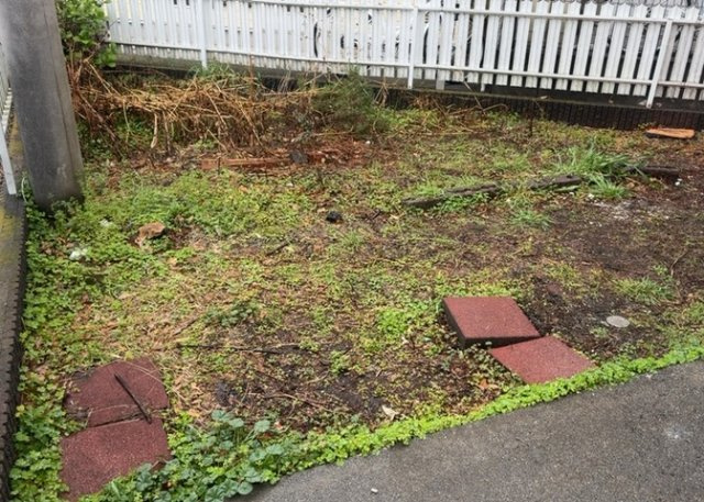 庭があることでガーデニングや家庭菜園はもちろん、こどもの遊び場やペットを放して遊ぶことができます。また、家の周囲に余裕があるということです。隣地との間があれば、十分な日当たりと、風通しが確保できます。