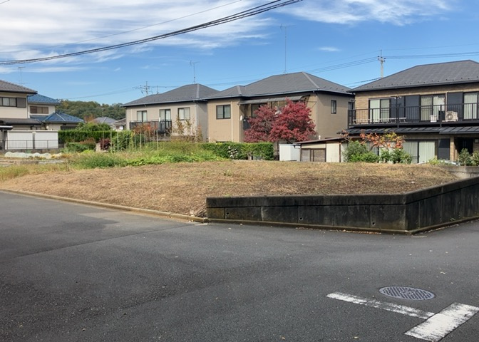 外観：313004488844