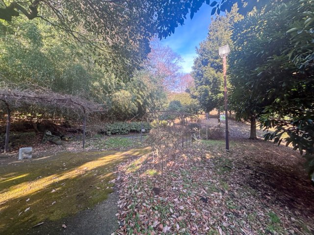 隣接する稲城中央公園敷地内
