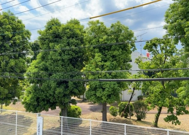 眺望を気にして物件を探す場合、前面に建物が建っていないか現地で確認しましょう！前面に建物があると景色はもちろん、日当たりや風通しにも影響が出てきます。住んだ時のことを想像しながら現地見学をしましょう。