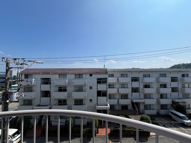 2025年7月撮影。