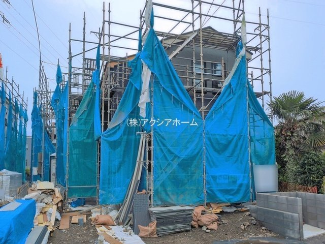 2026年6月4日撮影