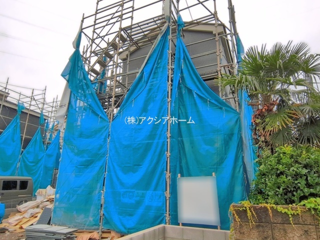 2026年6月4日撮影