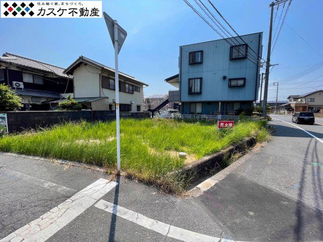 外観：333000053359