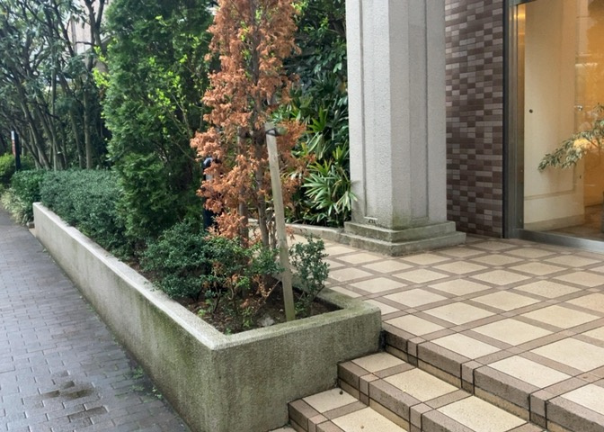庭があることでガーデニングや家庭菜園はもちろん、こどもの遊び場やペットを放して遊ぶことができます。また、家の周囲に余裕があるということです。隣地との間があれば、十分な日当たりと、風通しが確保できます。