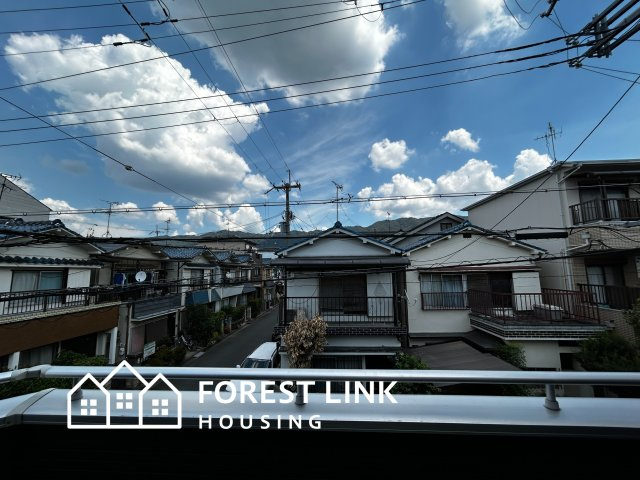 展望