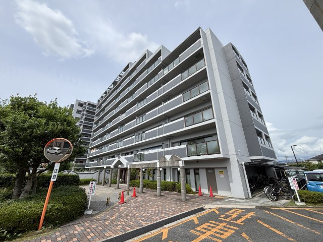 外観：325000128596