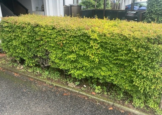 物件によっては、入居者が個人的に使用できる専用庭がついているものもあります。また、住宅の中にある土間の部分を庭と呼ぶこともあります。庭の用途は住む人によって変わり、それによってデザインもさまざまです。