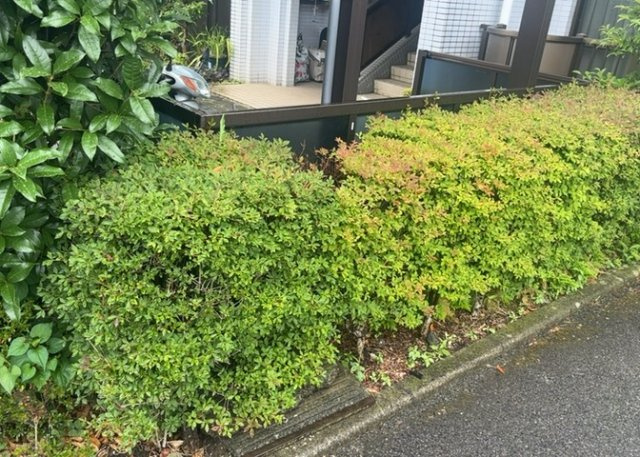 中庭（パティオ）とは、一つの建築物の内部に設けられた、壁などで囲われている庭のことを指します。コの字型、ロの字型が主流ですが、L字型の中庭もあります。最近では、インテリア性の高さからも人気があります。