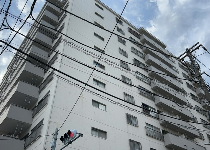 外観：313004828073