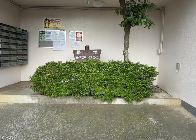 物件によっては、入居者が個人的に使用できる専用庭がついているものもあります。また、住宅の中にある土間の部分を庭と呼ぶこともあります。庭の用途は住む人によって変わり、それによってデザインもさまざまです。