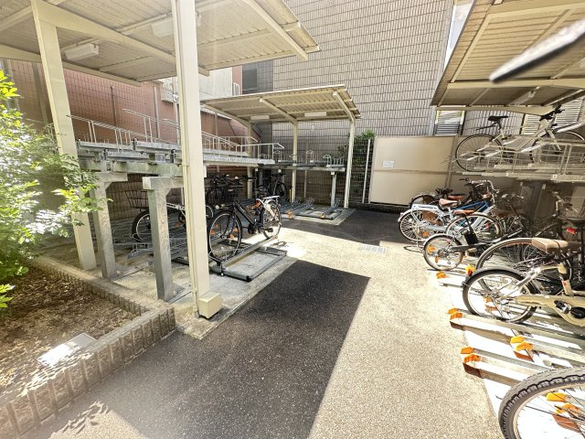 その他画像