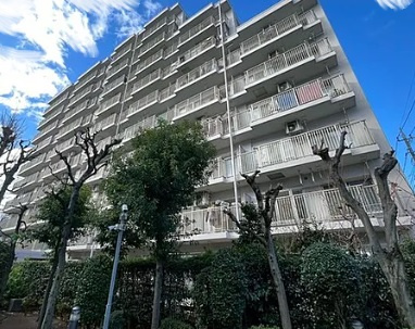 外観：311002306954