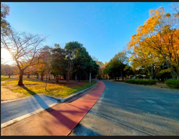 久宝寺緑地
