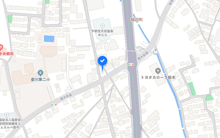 現地地図
