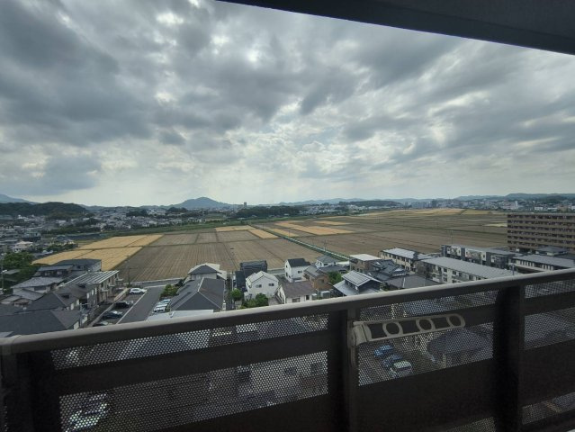 展望