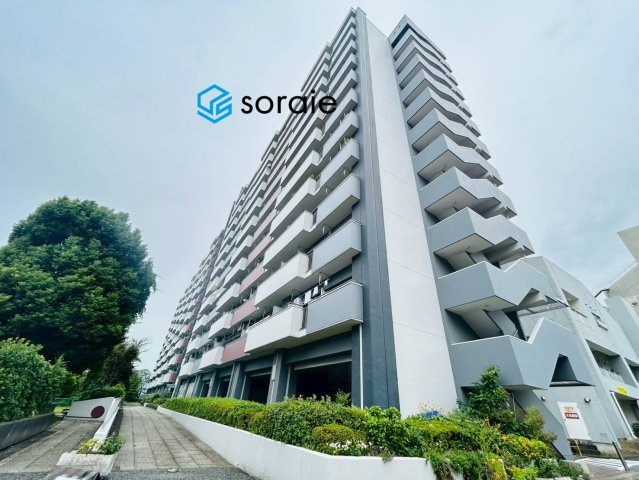 外観：311002354386