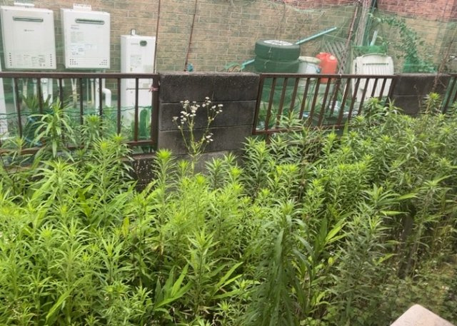 バルコニーは、室外の専用スペースのうち、「屋根がなく開放された空間」であるものを指します。ベランダより広いタイプのものが多く、日当たりもよいため家庭菜園などを楽しみたい人にとって適した環境となります。