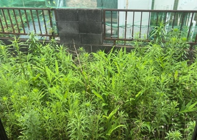 眺望を気にして物件を探す場合、前面に建物が建っていないか現地で確認しましょう！前面に建物があると景色はもちろん、日当たりや風通しにも影響が出てきます。住んだ時のことを想像しながら現地見学をしましょう。