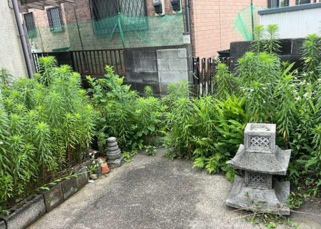 庭があることでガーデニングや家庭菜園はもちろん、こどもの遊び場やペットを放して遊ぶことができます。また、家の周囲に余裕があるということです。隣地との間があれば、十分な日当たりと、風通しが確保できます。