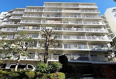 外観：313004667670