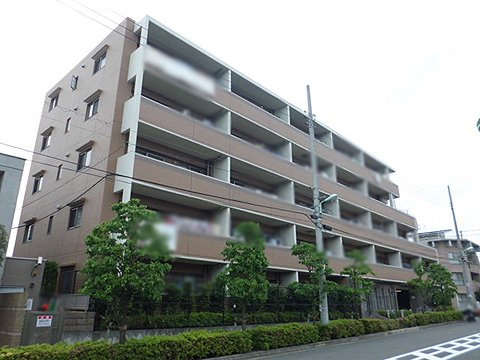 外観：313004946737