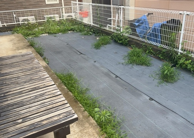 庭があることでガーデニングや家庭菜園はもちろん、こどもの遊び場やペットを放して遊ぶことができます。また、家の周囲に余裕があるということです。隣地との間があれば、十分な日当たりと、風通しが確保できます。