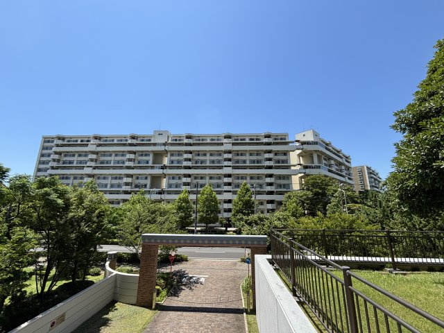 外観：312001205175