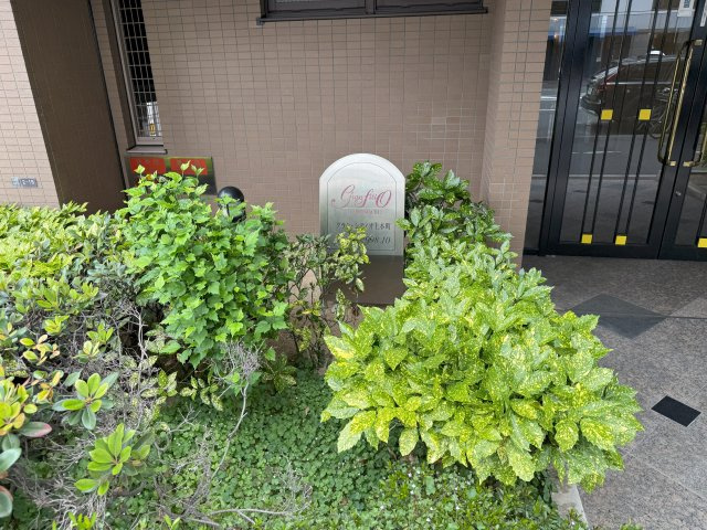 庭
