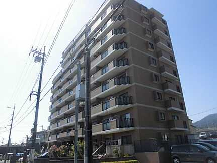 外観：334000231884