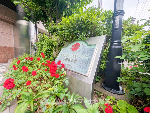 【Calm　Days】　◆穏やかな日常へ◆　やわらかな光に包まれた空間が、忙しさを静かにほどいていく。ここで重ねる時間が、暮らしの輪郭を少しずつ整えていく。