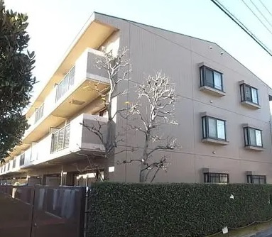 外観：313004662025