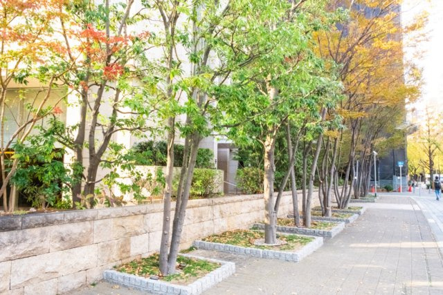 【周辺】マンション周辺は歩道状の公開空地となっており、きれいに整備されております！