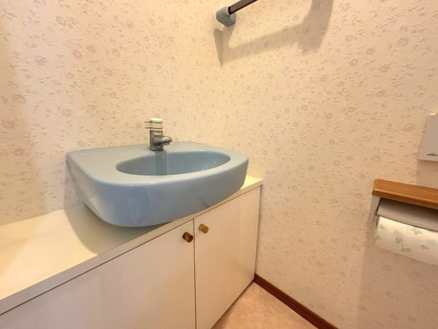 1階トイレには手洗いカウンターがございます。