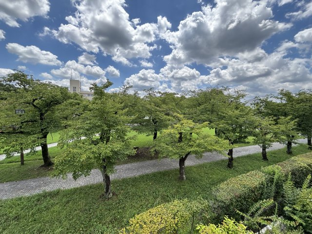 全面棟がなく開放的！目の前は桜並木がある宝野公園です。春は美しい桜の花を、秋は紅葉をご自宅で楽しめます。