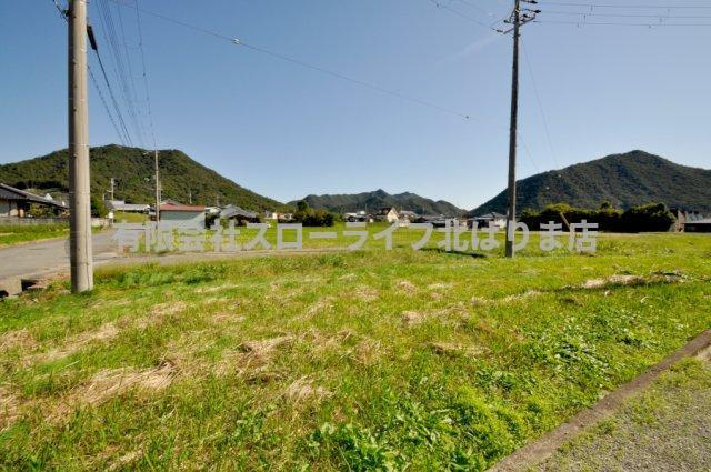 田んぼ
